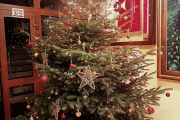 IMG_20231221_201328